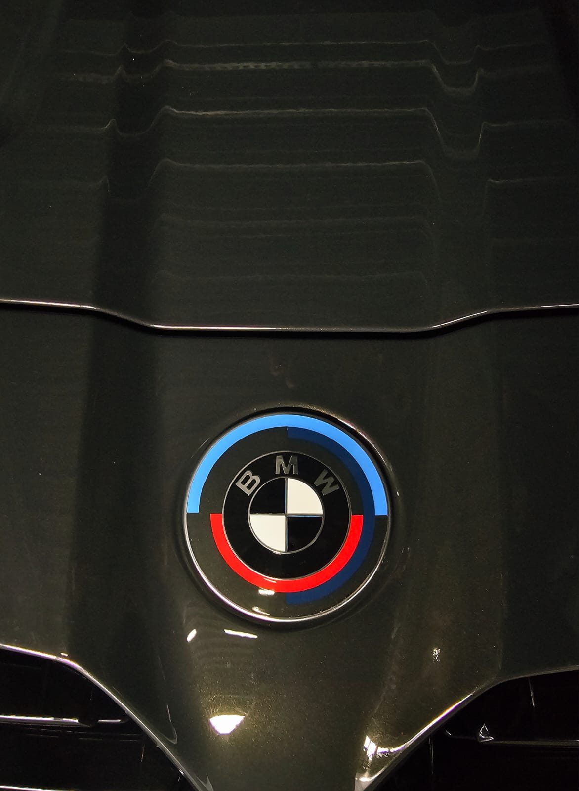 Close-up of a BMW badge on the hood