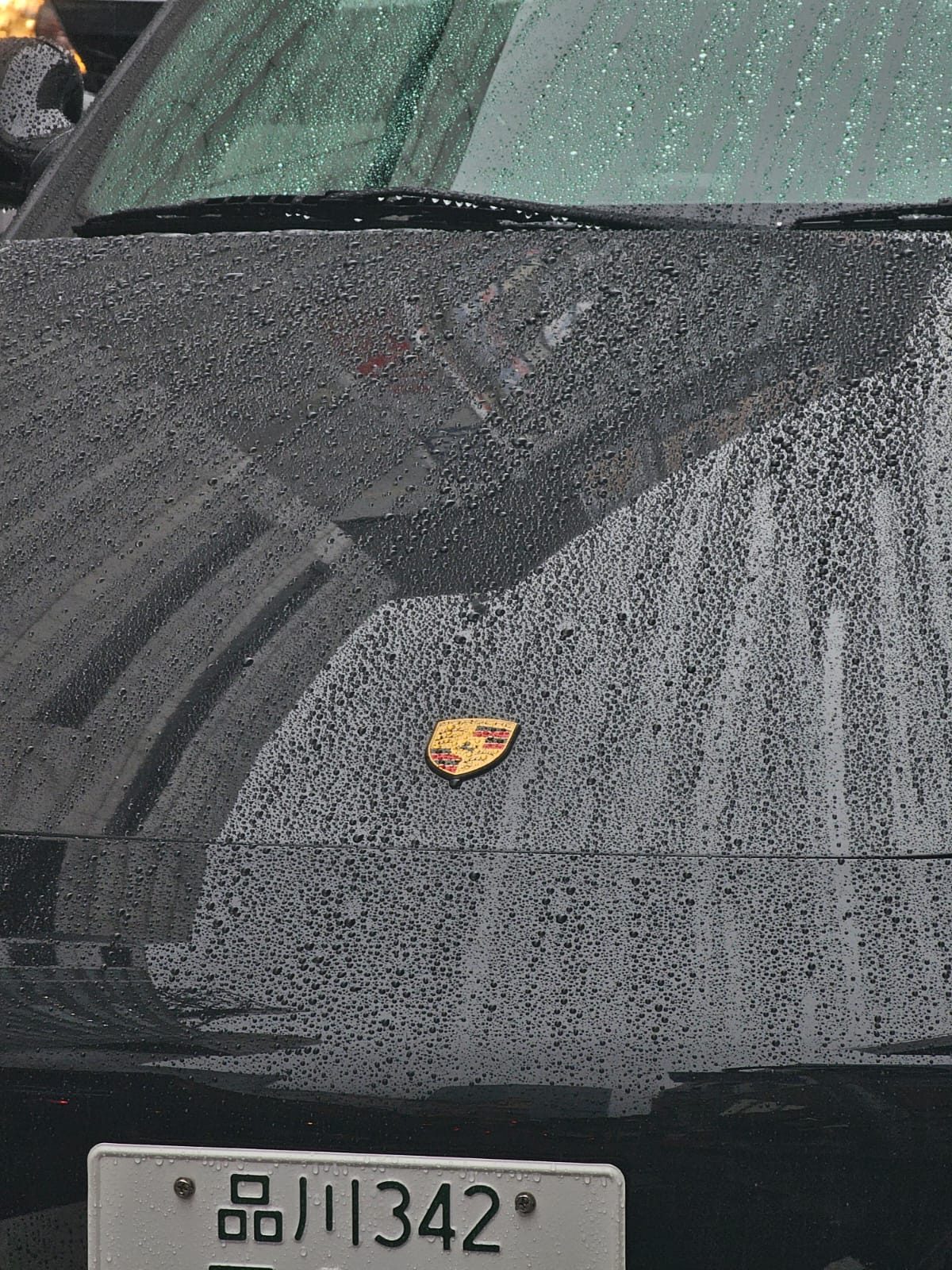 Close-up of a rain-covered Porsche crest badge