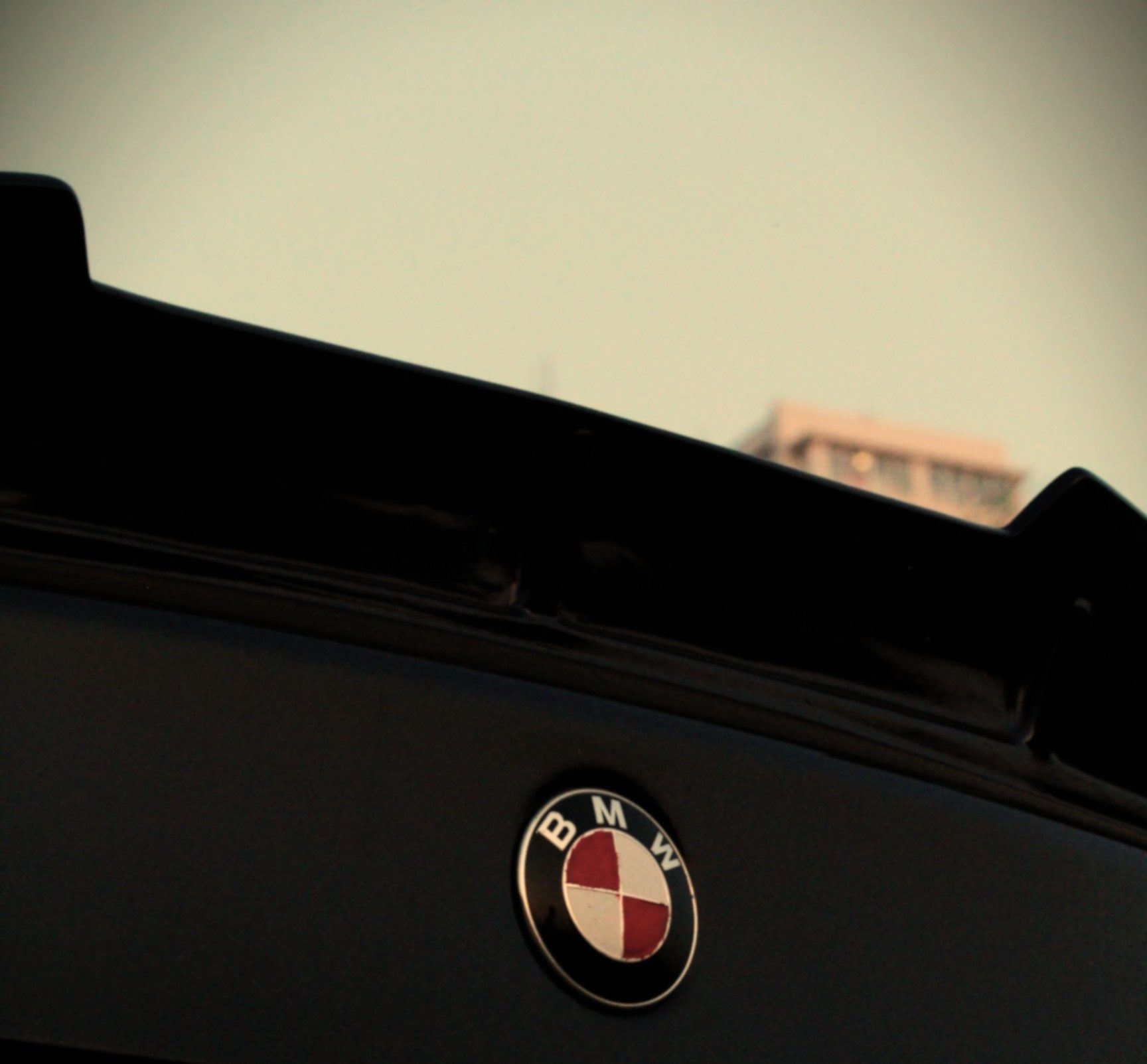 Close-up of a BMW roundel badge against a dusk sky